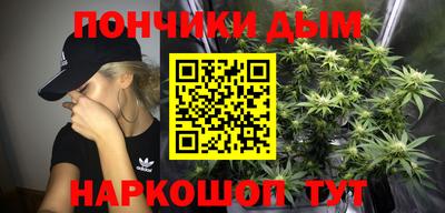 индика Комсомольск-на-Амуре